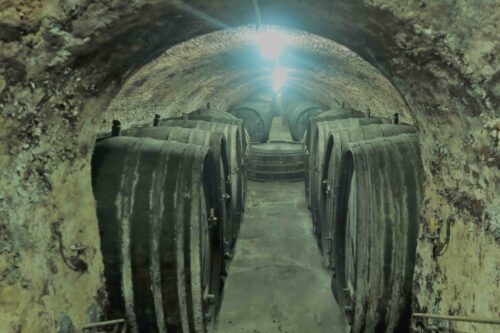 Barrels in an old wine cellar.